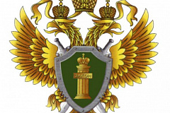 Прокурор отвечает по вопросу имеют ли право строительные организации осуществлять вырубку и пересадку деревьев