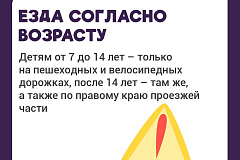 Пора электросамокатов