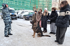 УВД по ЮЗАО информирует 04.02.2025